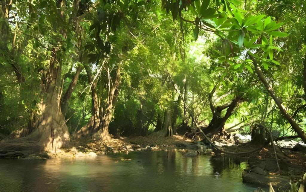 Natural Park Resort De Wang Thong Phitsanulok Dış mekan fotoğraf