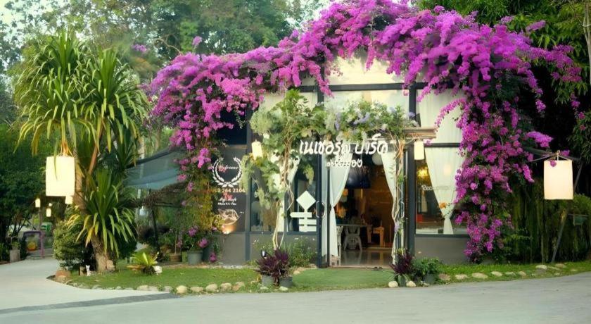 Natural Park Resort De Wang Thong Phitsanulok Dış mekan fotoğraf
